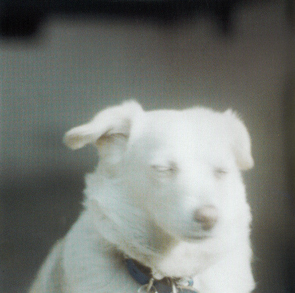 Yuichiro Fujimoto : Komorebi (CD, Album)