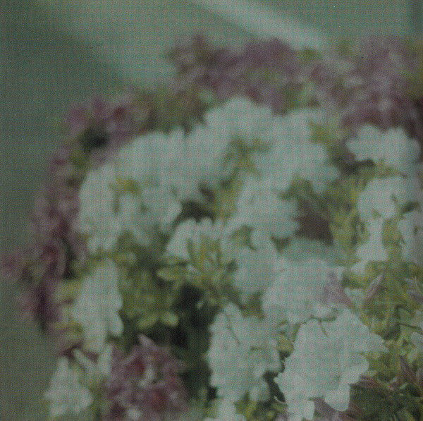 Yuichiro Fujimoto : Komorebi (CD, Album)