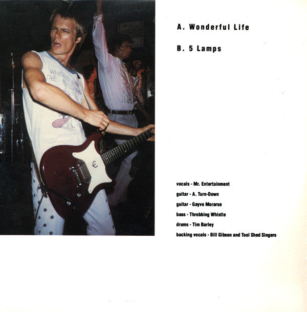 The Celibate Rifles : Wonderful Life (2x7")