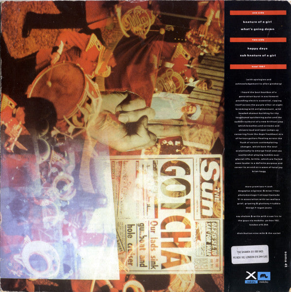 The Shamen : Knature Of A Girl (12")