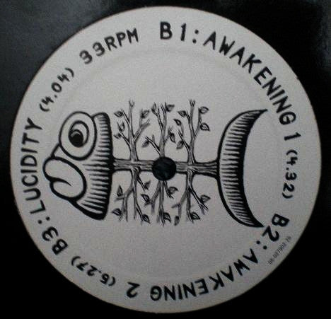 Tibart : Abundance (12")