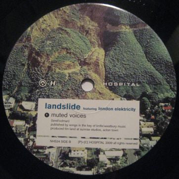 Landslide : Incurable Voices / Muted Voices (10")