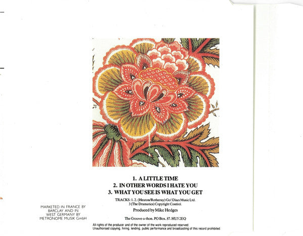 The Beautiful South : A Little Time (CD, Single)