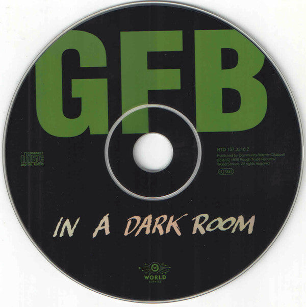 Gary Floyd Band : In A Dark Room (HDCD, Album)