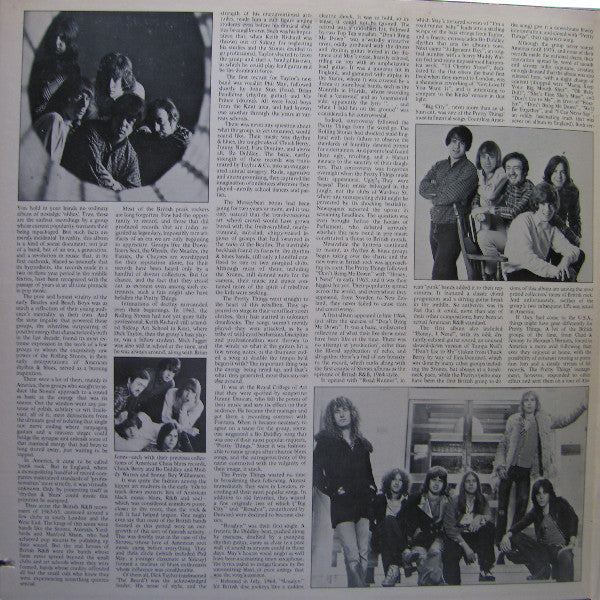 The Pretty Things : The Vintage Years (2xLP, Comp)