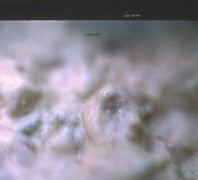 Paul Devens : Dj Lait Russe (CD, Enh, Dig)