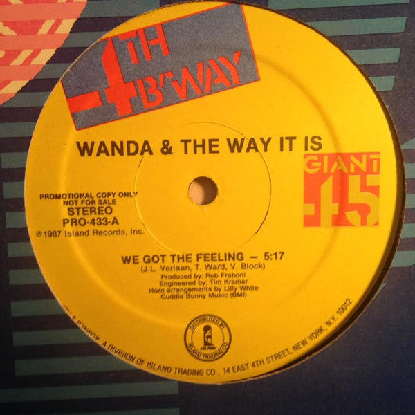 Wanda & The Way It Is : We Got The Feeling (12", Promo)