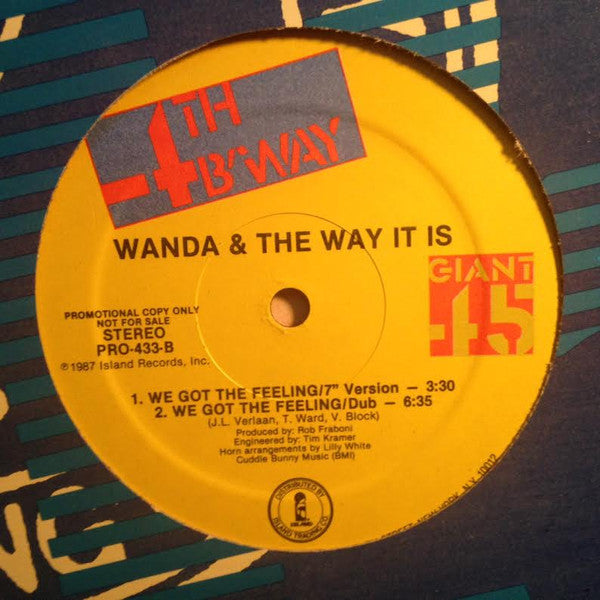 Wanda & The Way It Is : We Got The Feeling (12", Promo)