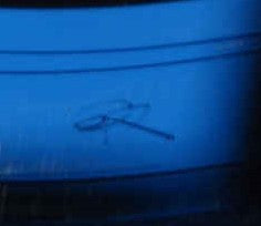 Bojoura : The Letter (7", Single)