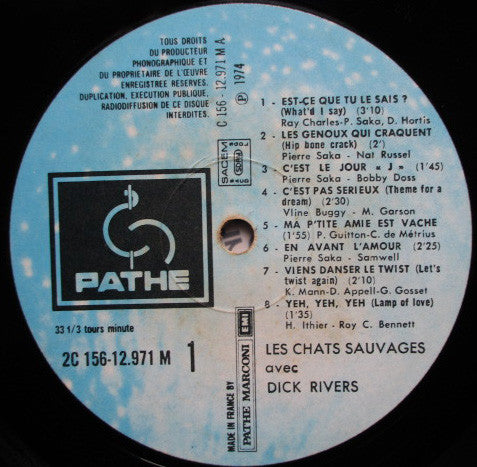 Les Chats Sauvages Avec Dick Rivers : Les Chats Sauvages Avec Dick Rivers (2xLP, Comp)