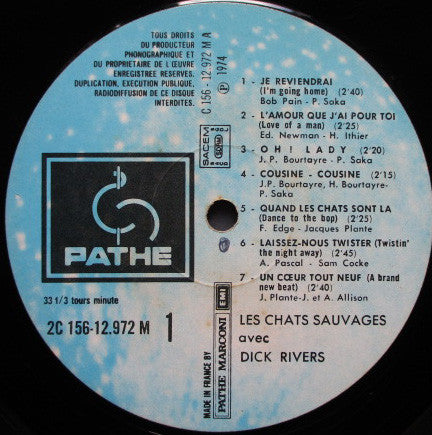 Les Chats Sauvages Avec Dick Rivers : Les Chats Sauvages Avec Dick Rivers (2xLP, Comp)