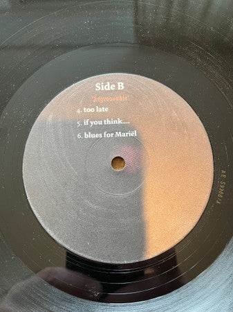 Bluesbastards* : Who's Plumber (LP, Album, Ltd, Num)