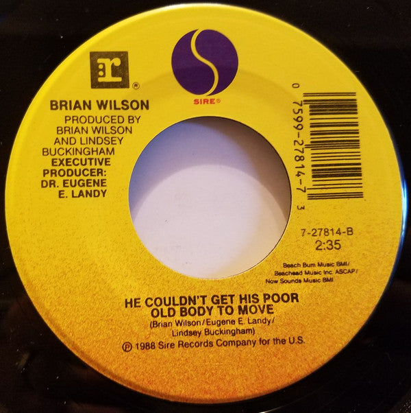 Brian Wilson : Love And Mercy (7")