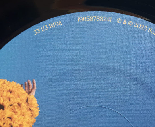 Pommelien Thijs : Per Ongeluk (LP, Album)