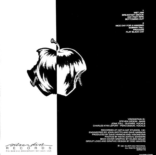 Visionstain : Day Past Ripe EP (12", EP)