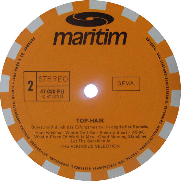 The Aquarius Selection : Top-Hair (LP, Album)