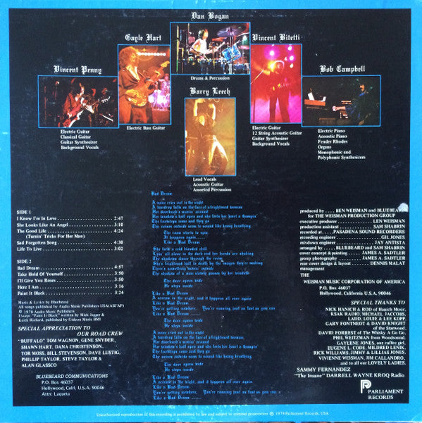 Bluebeard (4) : Bad Dream (LP)