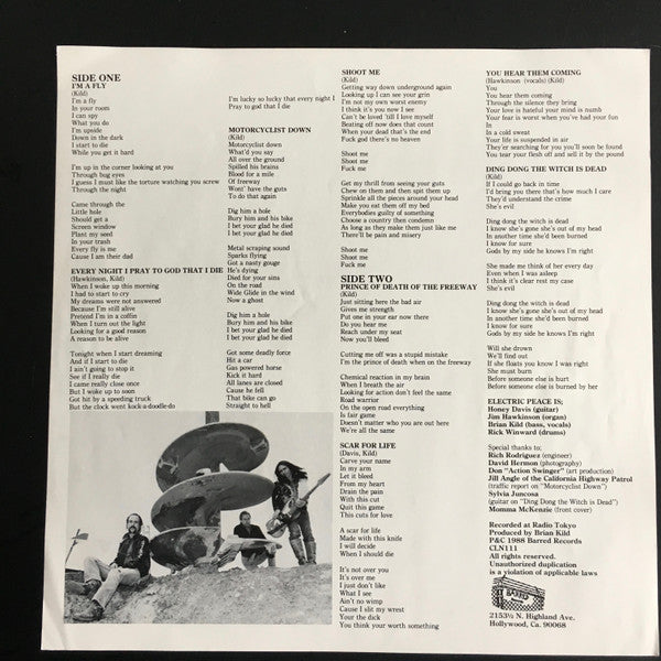 Electric Peace : Insecticide (LP, Album)