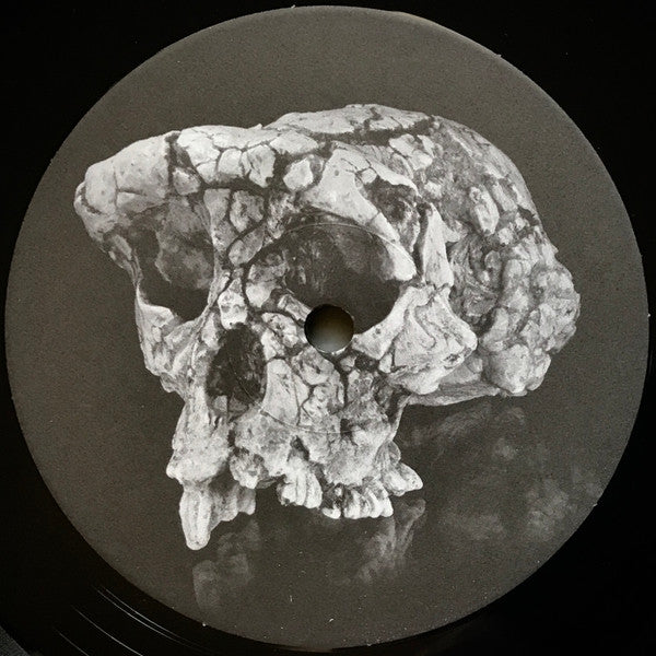 Der Blutharsch And The Infinite Church Of The Leading Hand + Aluk Todolo : A Collaboration (LP, Album, Ltd)