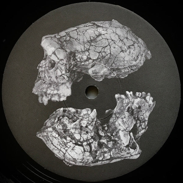 Der Blutharsch And The Infinite Church Of The Leading Hand + Aluk Todolo : A Collaboration (LP, Album, Ltd)