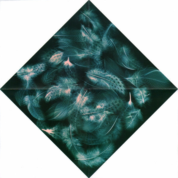 Wild Beasts : Albatross / Smother (7", RSD, Single, Ltd, Pos)