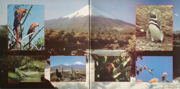 Inti Illimani, Guamary : Flight Of The Condor (LP, Comp, Gat)