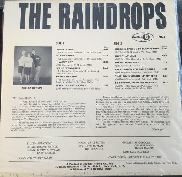 The Raindrops : The Raindrops (LP, Album, Mono)