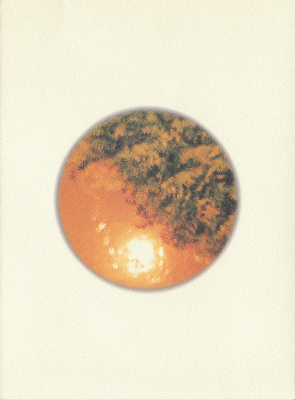 Thom Brennan : The Path Not Taken (CD, Mini, Ltd, Num)