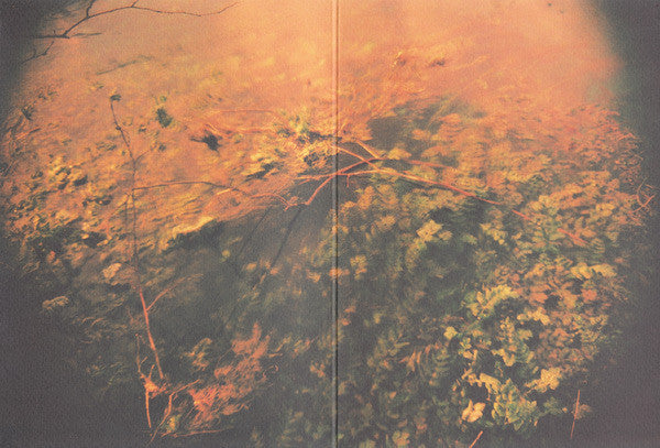 Thom Brennan : The Path Not Taken (CD, Mini, Ltd, Num)