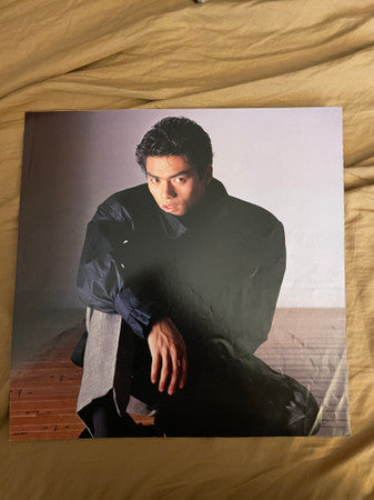 Yuki Matsumura : Stray Age (LP, Album)