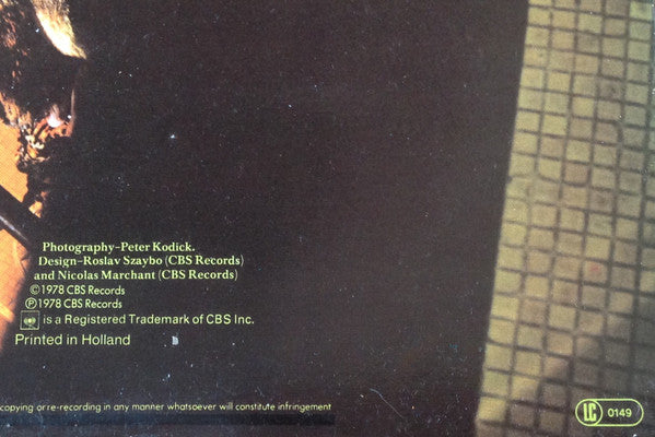 The Only Ones : The Only Ones (LP, Album)