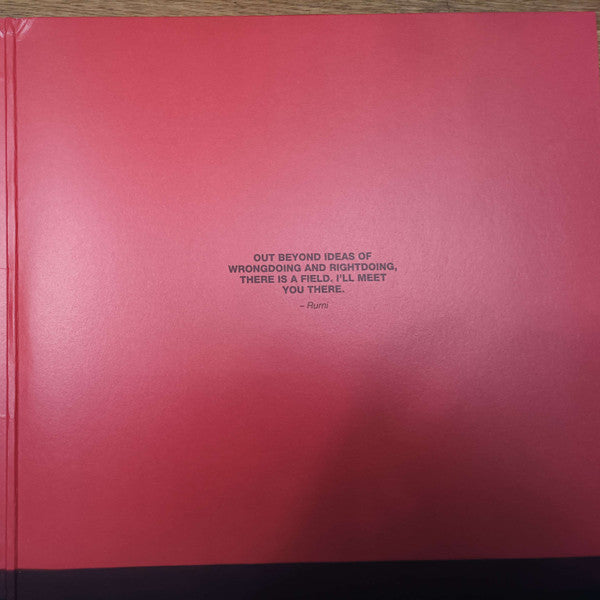 Dinand Woesthoff : Luck of Birth (LP, Album, Cle)