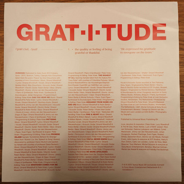 Dinand Woesthoff : Luck of Birth (LP, Album, Cle)