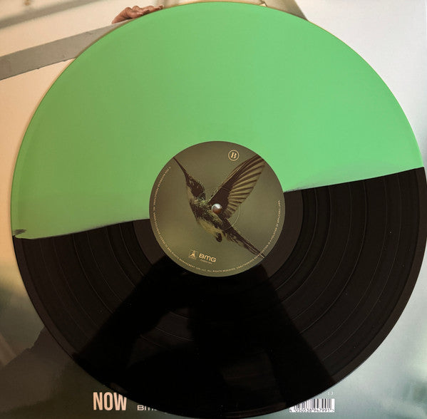 Jennifer Lopez : This Is Me...Now  (LP, Album, Gre)