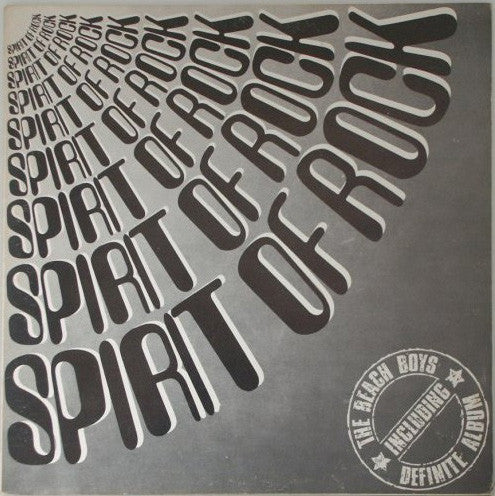 The Beach Boys : The Definite Album (LP, Comp, Gat)