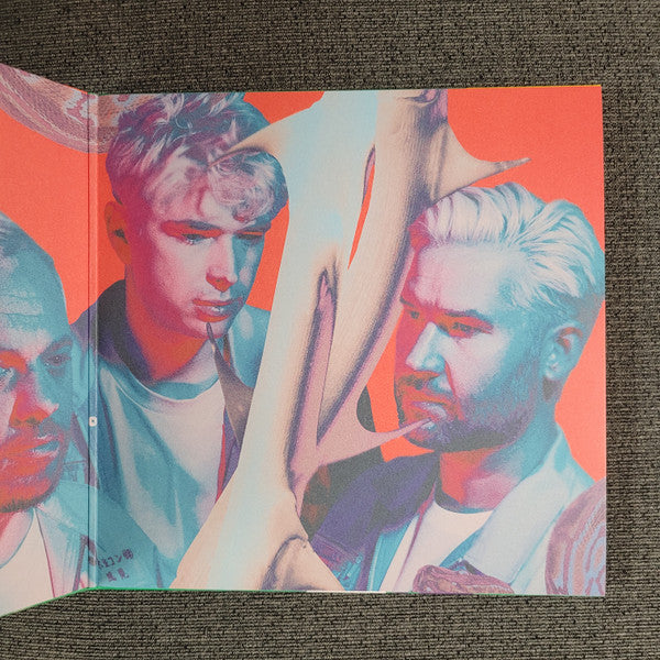 Everything Everything : Mountainhead (LP, Album, Cle)