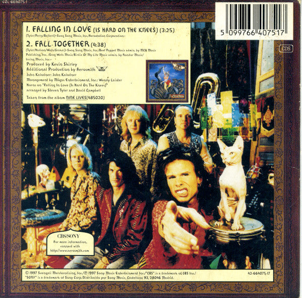Aerosmith : Falling In Love (Is Hard On The Knees) (CD, Single, Car)