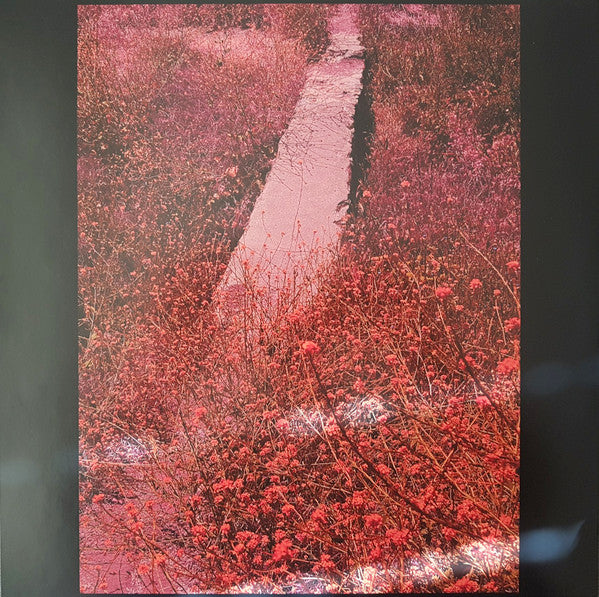 Jessica Pratt : Here In The Pitch (LP, Album)