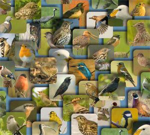 Various : Vogel Top 100 (2xCD, Comp)