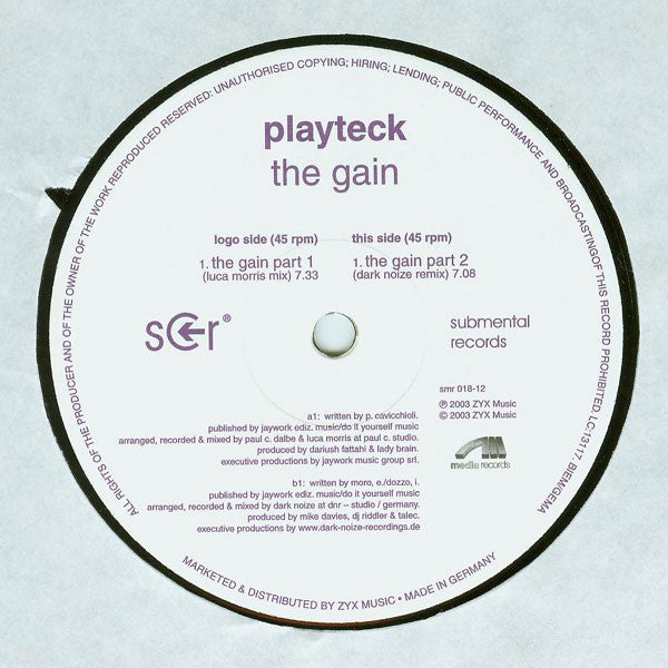Playteck : The Gain (12")