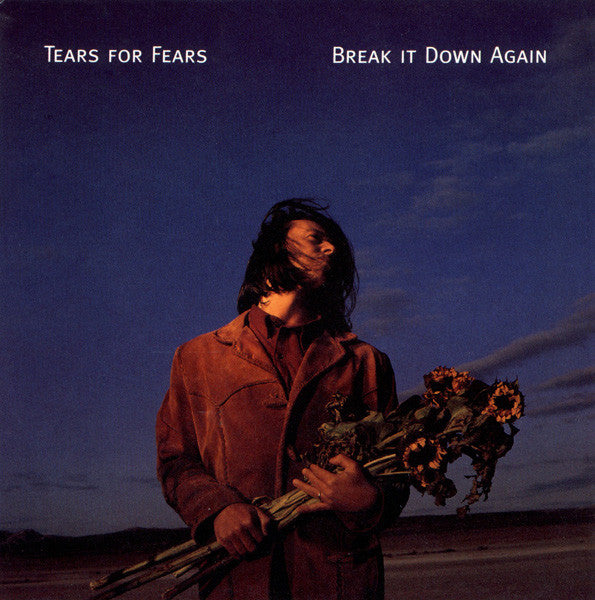 Tears For Fears : Break It Down Again (7", Single, Sil)