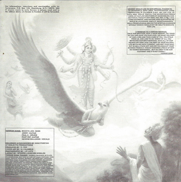 Terror Zone : Self Realization: A True Lesson In Hard Core (7", Ltd)