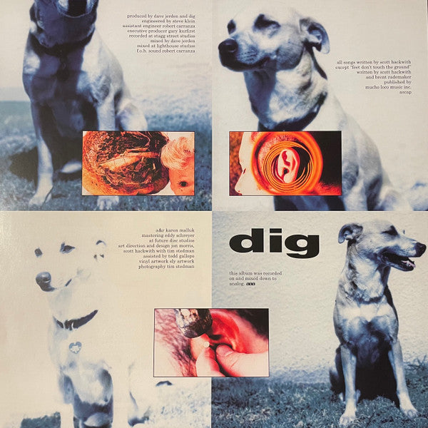 Dig : Dig (LP, Album, RE)
