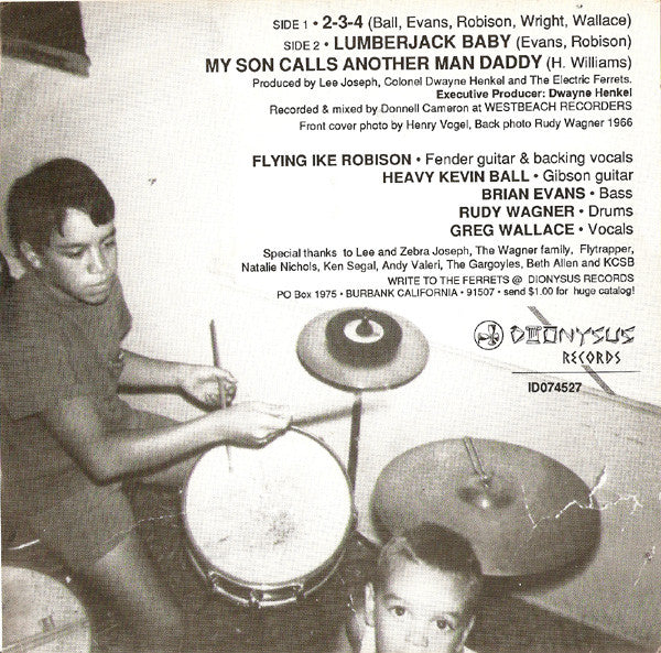 The Electric Ferrets : 2-3-4 (7", Gra)