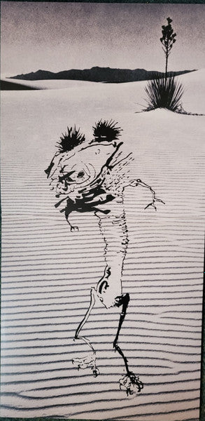 Bardo Pond : Set And Setting (LP, Album, RE, Del)