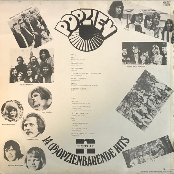 Various : Popzien - 14 (P)opzienbarende Hits (LP, Comp)