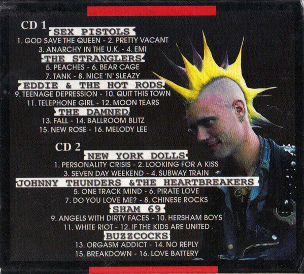Various : The History Of Punk Rock (2xCD, Comp)