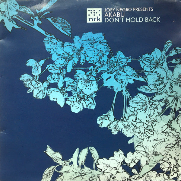 Joey Negro Presents Akabu : Don't Hold Back (12")