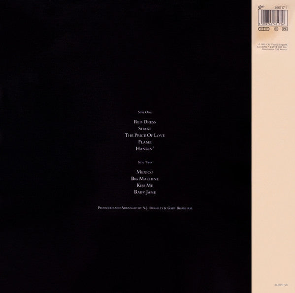 Andrew Ridgeley : Son Of Albert (LP, Album)