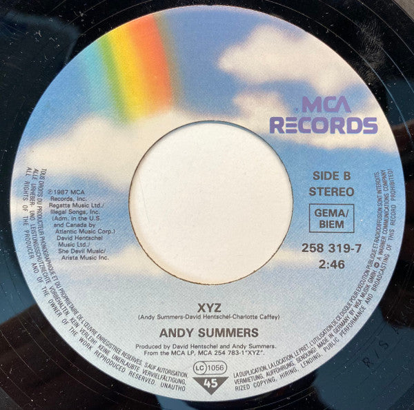 Andy Summers : Love Is The Strangest Way (7")